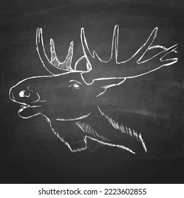 A moose hand drawn with chalk on a blackboard. isolated vector graphic.