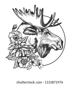 Moose head animal engraving vector illustration. Scratch board style imitation. Black and white hand drawn image.