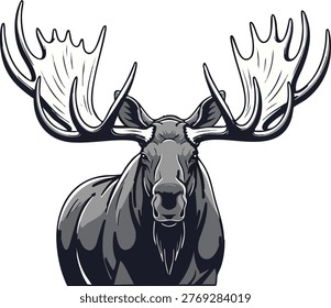 Moose head close up large antlers white background with wildlife illustration isolated background ungulate