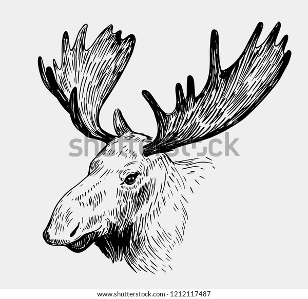 Moose Head Hand Drawn Sketch Converted Stock Vector (Royalty Free ...