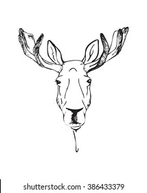 moose head. illustration in a graphic style