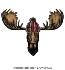 Moose head. Portrait of funny animal. Knitted wool winter hat.