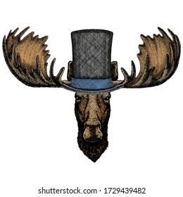 Moose head. Portrait of funny animal. Cylinder hat.