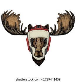 Moose head. Portrait of funny animal. Boxing helmet.