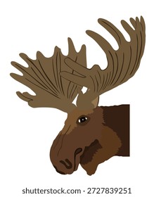 Elchkopf, Vektorgrafik einzeln auf weißem Hintergrund. Elchbuck. Mächtiges Reh mit riesigem Geweihsymbol.