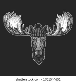 Moose head. Winter knitted hat. Portrait of funny animal.