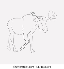 Moose icon line element. Vector illustration of moose icon line isolated on clean background for your web mobile app logo design.