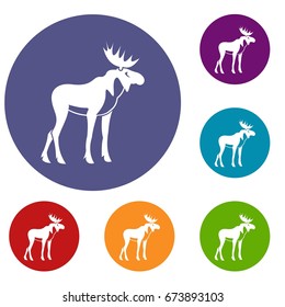 Moose icons set in flat circle reb, blue and green color for web