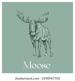 Moose Illustration with Minimalist Typography