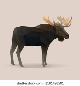 moose male Polygon vector illustration