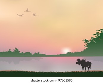 moose on a background of water