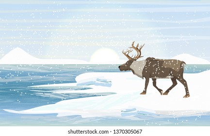 Moose on the lake in winter. Wild animals of Eurasia and North America. Shore with snowy mountains and snowdrifts. Glacier on the other side of the sea. Realistic Vector Landscape