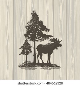 Moose on wooden background, illustration, vector 