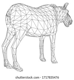 Moose polygonal lines illustration. Abstract vector moose on the white background