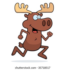 Moose Running