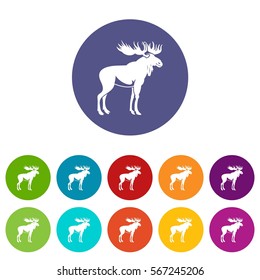 Moose set icons in different colors isolated on white background