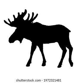 Moose Silhouette. Black Elk Shade Vector Image