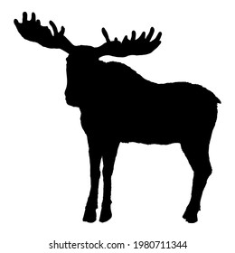 Moose Silhouette. Black Elk Shade Vector Image