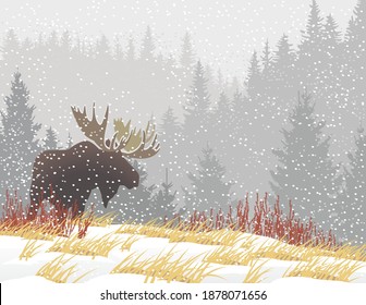 Moose silhouette in fall snow storm forest background 