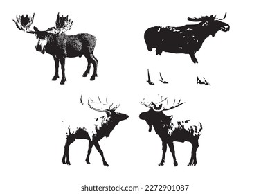 Moose silhouette
Moose silhouette Vector Art  Images