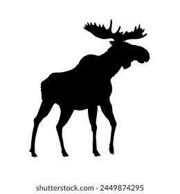 Moose silhouette - vector illustration	