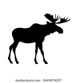 Moose silhouette - vector illustration	