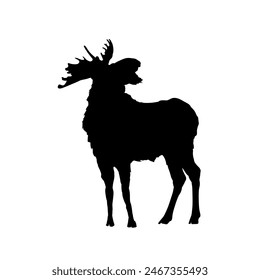 moose silhouette	 - vector illustration