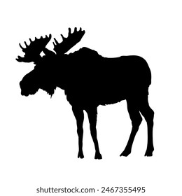 moose silhouette	 - vector illustration