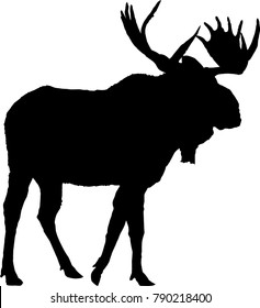 Moose Silhouette Vector Illustration