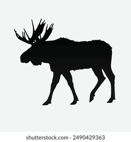 Moose silhouette vector illustration, sticker, graphics