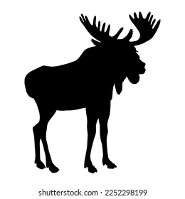 Moose silhouette. Vector stock illustration eps10.