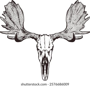 Moose Skull Digital Hand drawn Line art Sketch Vector illustration black and white