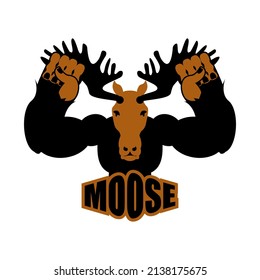 Moose Sport Logo Deer Sports Team Stock Vector (Royalty Free ...