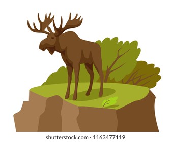 moose stands on a cliff. vector illustration