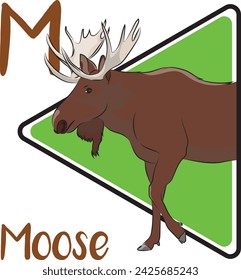 The moose is the tallest and the second-largest, land animal in North America. Adult moose use their antlers or hooves to defend themselves from predators like bears and wolves. Moose mostly diurnal.