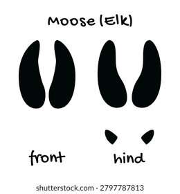 Moose tracks. Black silhouettes of moose fore and hind tracks on white background. For educational materials, field guides, infographics, and children's books.