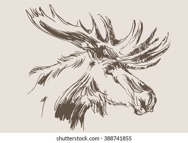 moose vector, hand draw sketch 