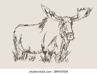 moose vector, hand draw sketch