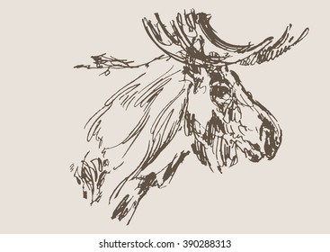 moose vector, hand draw sketch