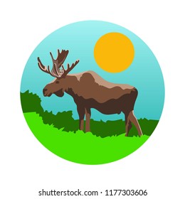 Moose vector illustration