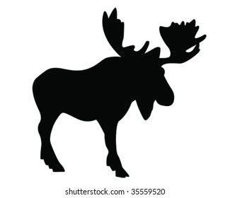 moose vector illustration