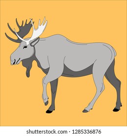 moose, vector illustration , flat style, profile view