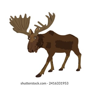 Moose vector illustration isolated on white background. Elk buck. Powerful deer with huge antlers symbol.