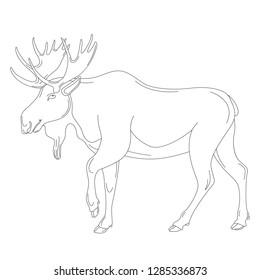 moose, vector illustration , lining draw profile view