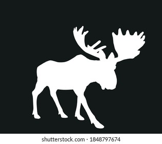Moose vector silhouette illustration isolated on black background. Elk buck. Powerful deer with huge antlers symbol.