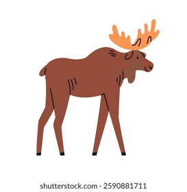 Moose walking. Large wild elk, forest mammal with broad horns, antlers. Cute big herbivore animal, side view, profile. American wildlife, fauna. Flat vector illustration isolated on white background