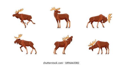 Moose wild animal set of vector illustrations. Funny character in various cartoon design poses. Isolated on a white background.