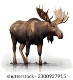 Moose in the wild vector art digital art 