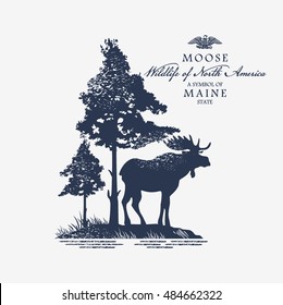 Moose, Wildlife of America, illustration, vector, blue color