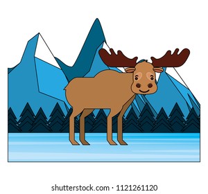 moose in winter forest landscape